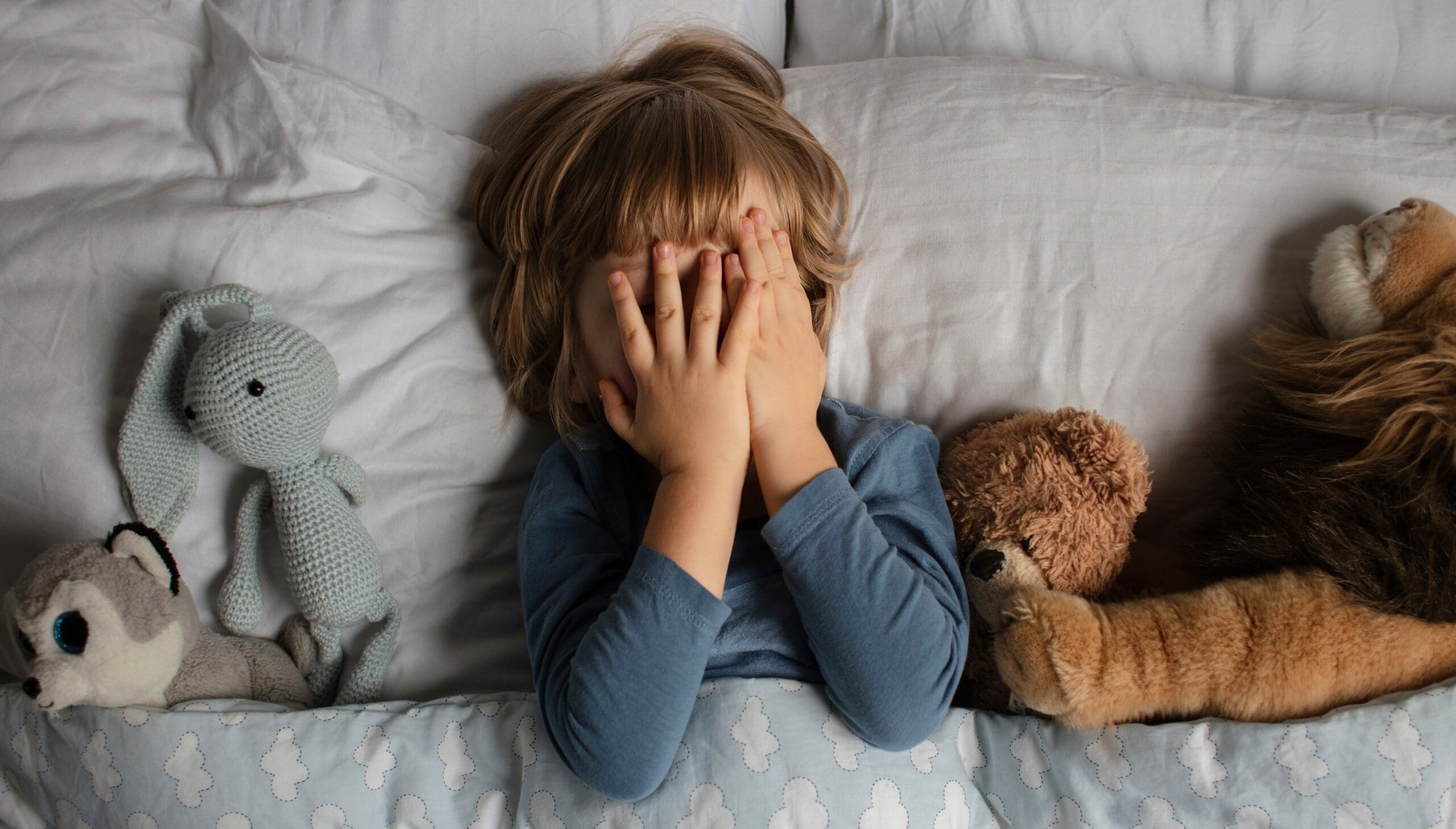 What to Do When Your Toddler Won't Sleep FAQ and Solutions Tiny Duck Parenting